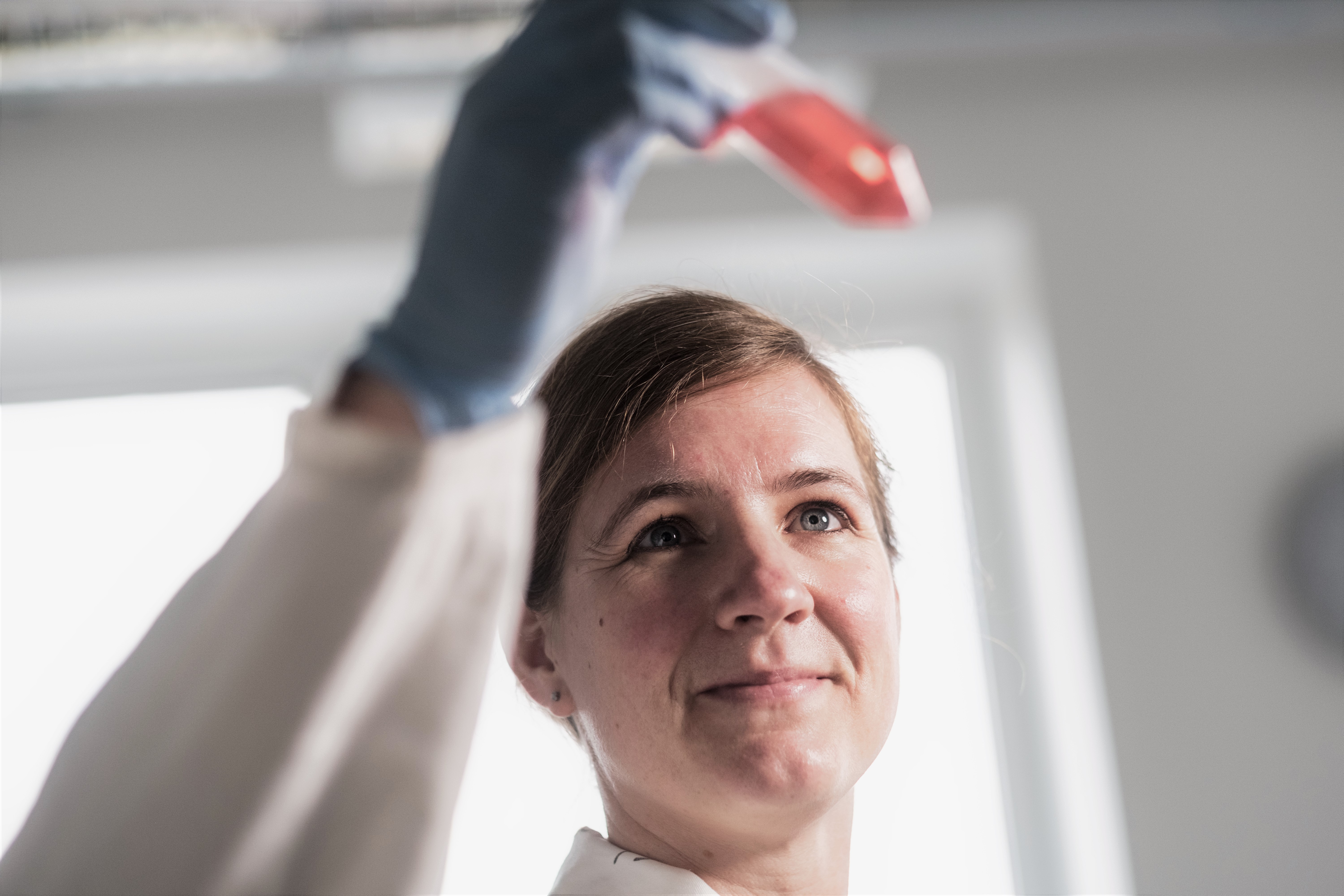 Dr. Imke Steffen