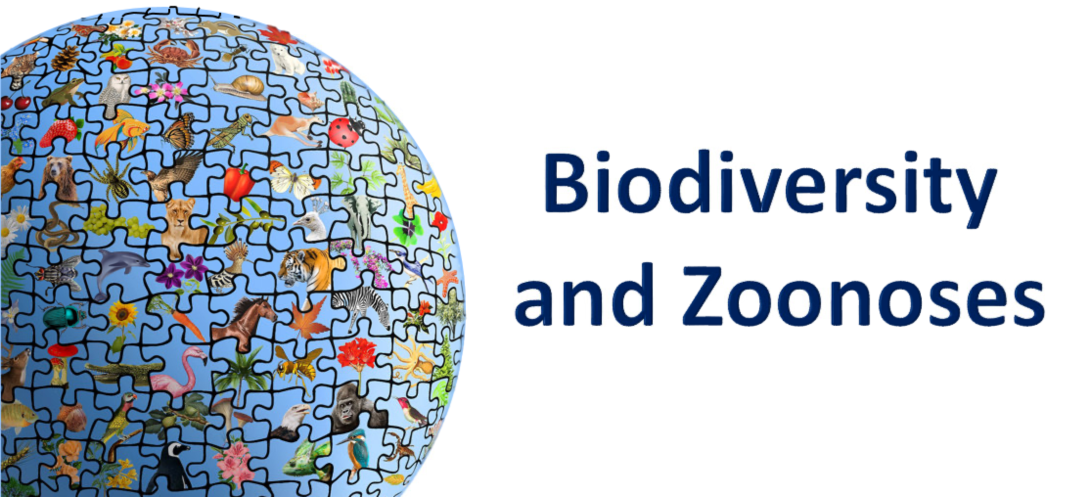 Biodiversity and Zoonoses