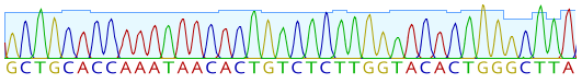 Chromatogramm einer Sequenzierung