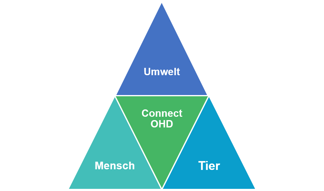 Connect OHD Logo