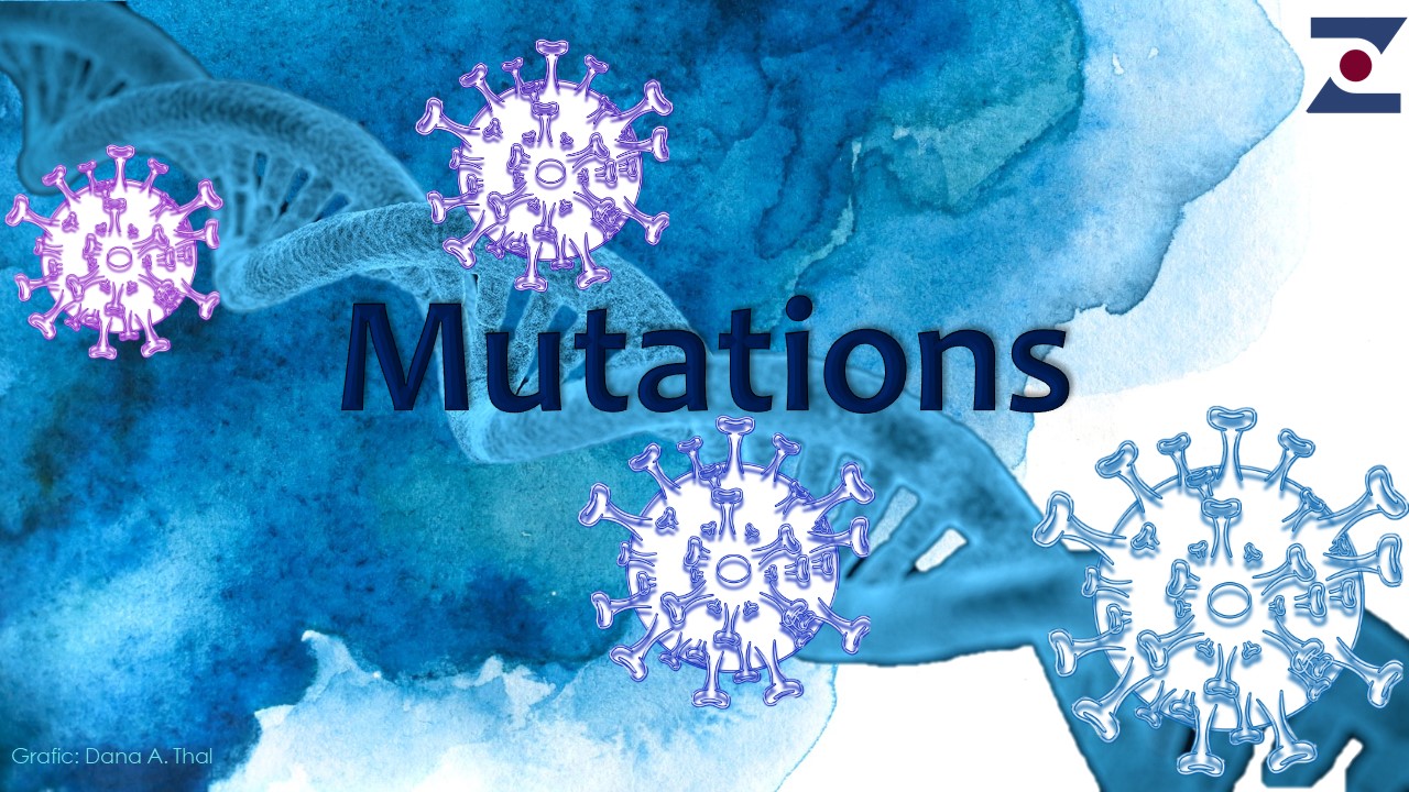 Mutations_Interview