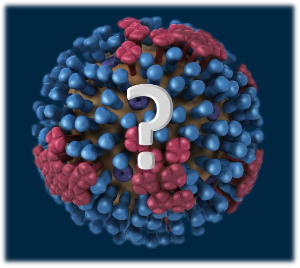 Quiz_Virus