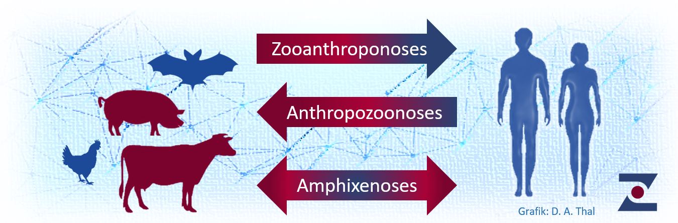 Classification Zoonoses