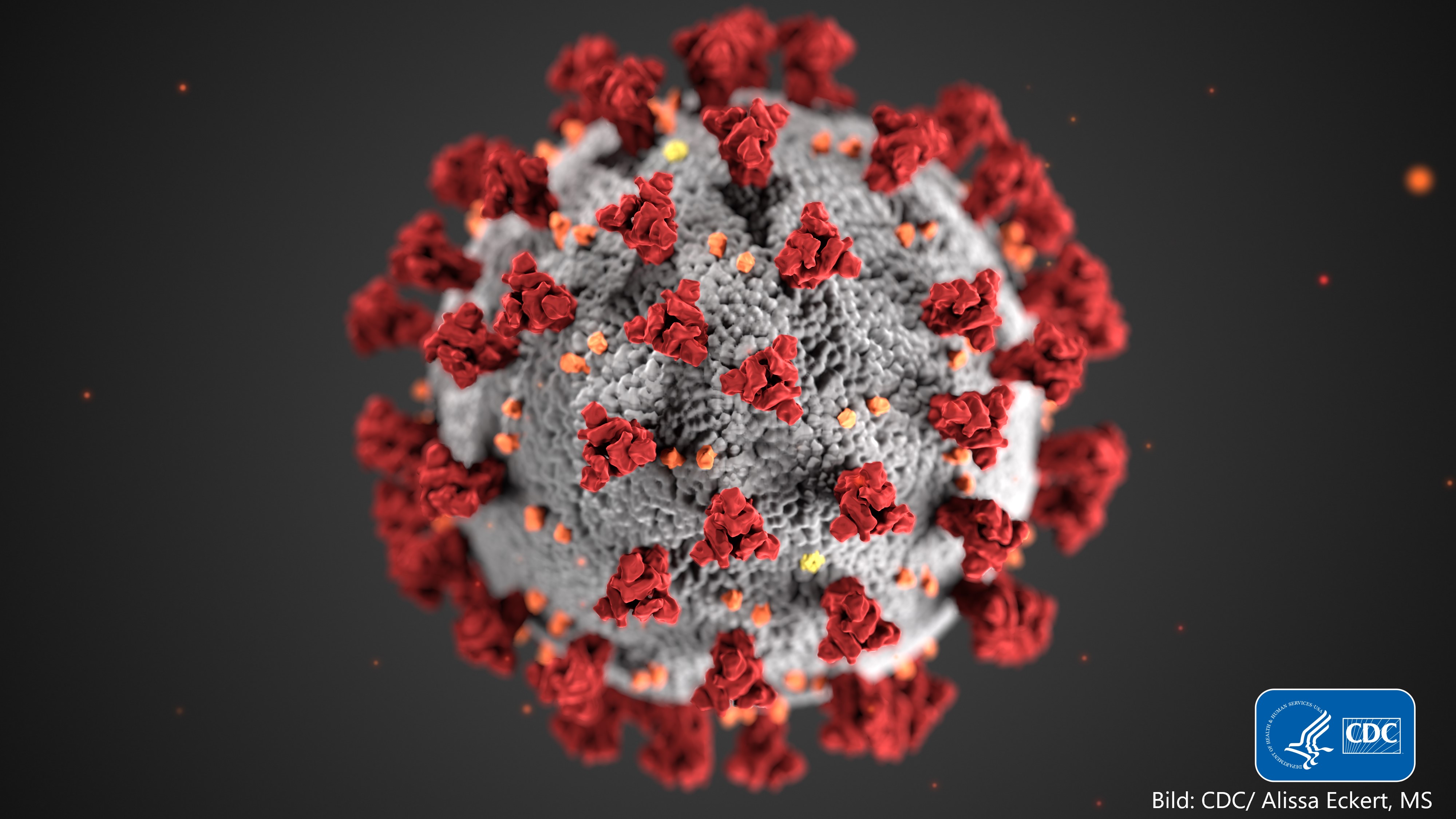 Image_Coronavirus