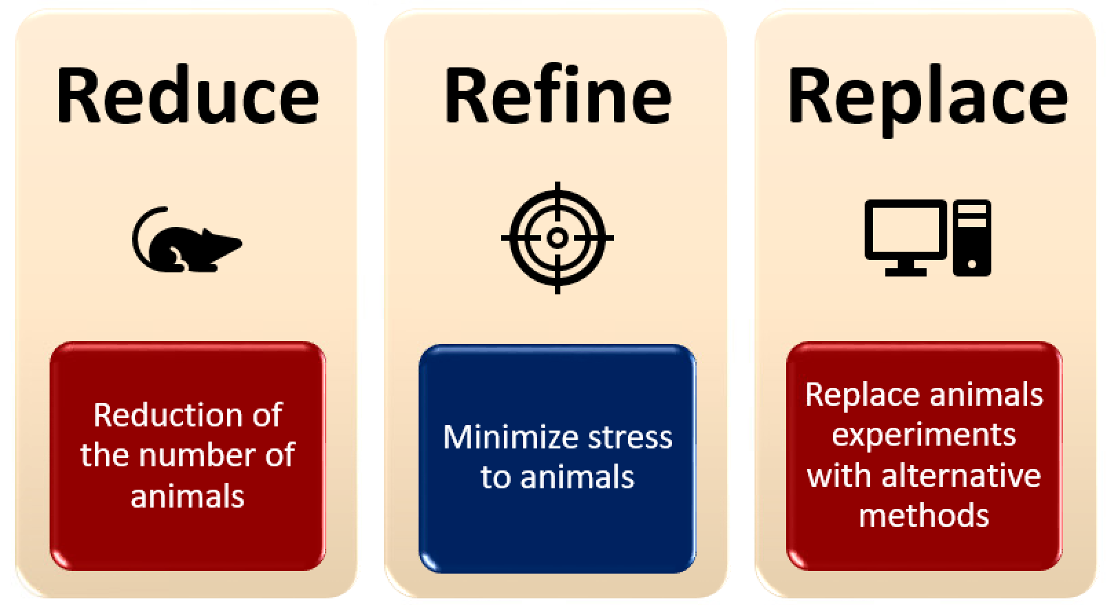 3Rs principle