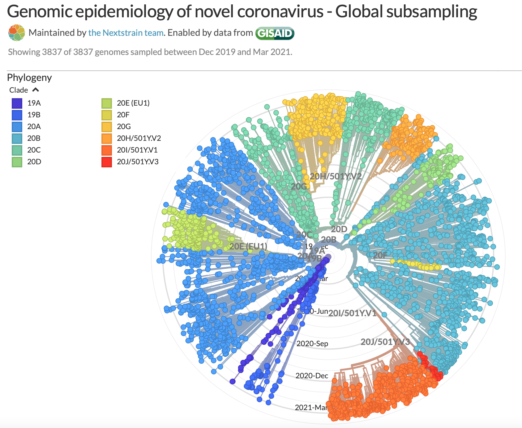 genomic epidemiology SARS-CoV-2