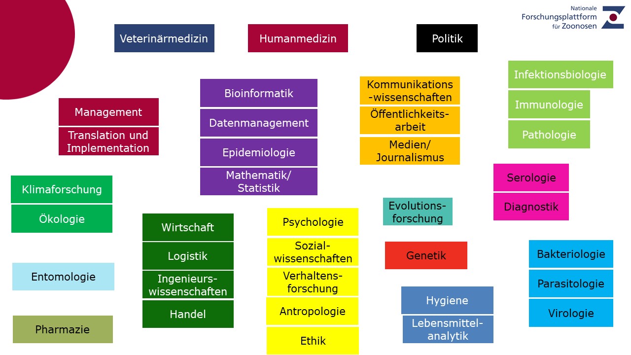 Fachbereiche_Zoonosenforschung