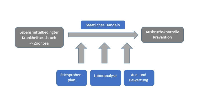 Diagramm StiproZoo