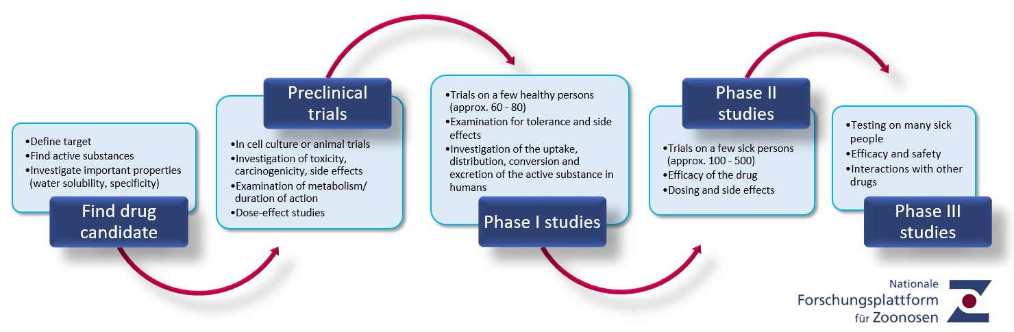 stages of drug development