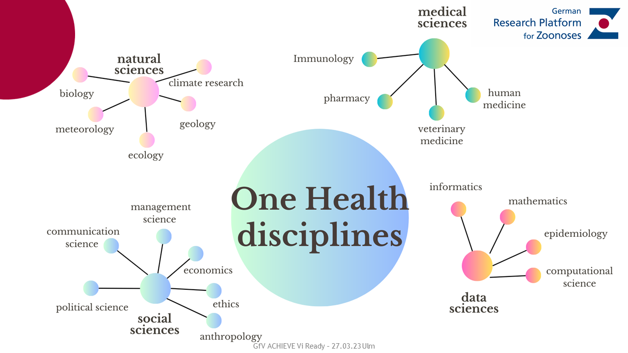 One Health disciplines