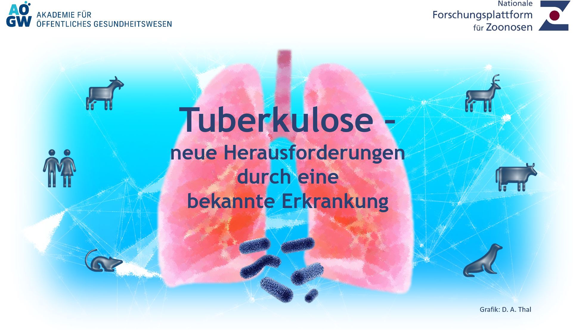 Tuberkulose_Workshop