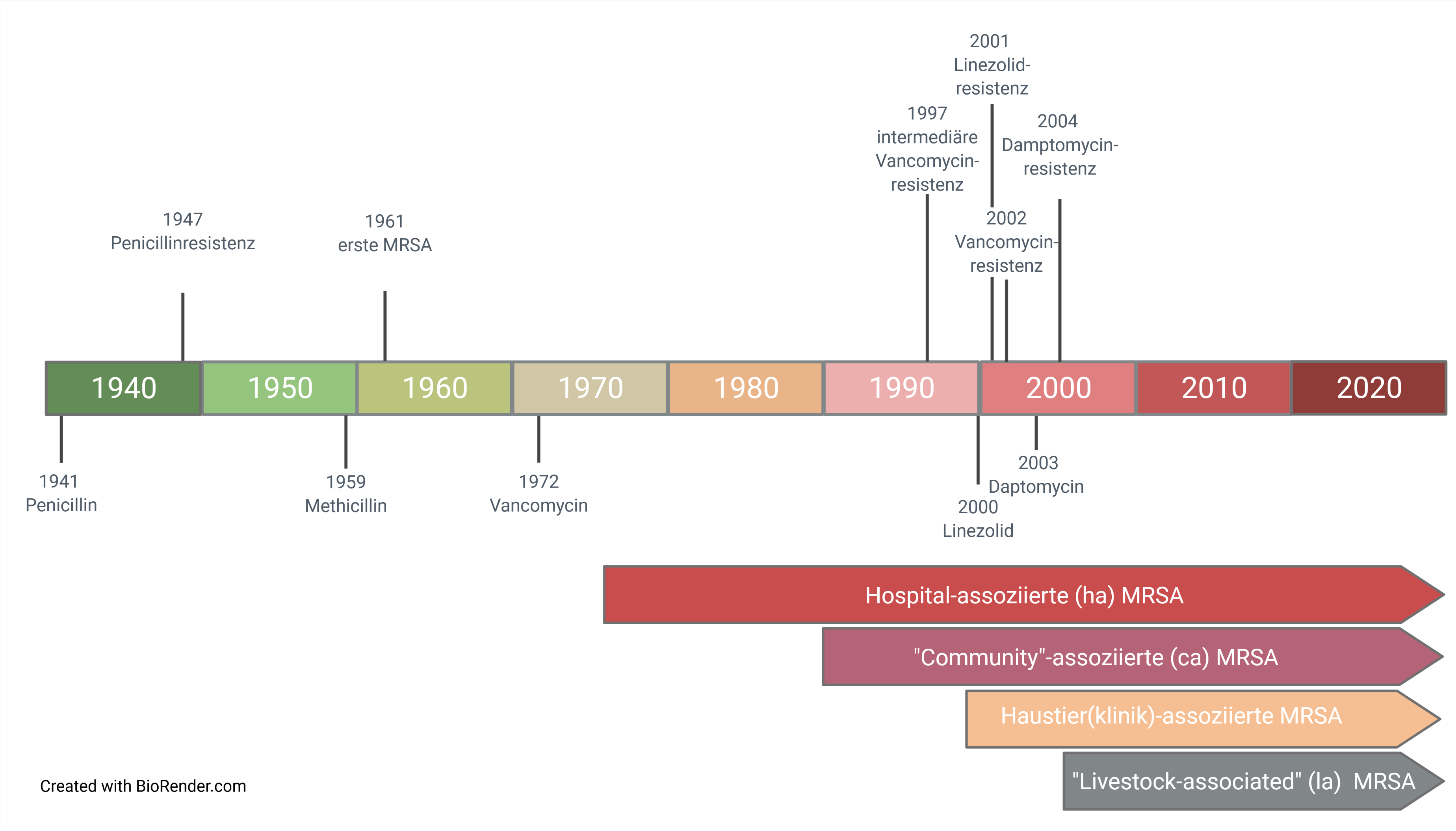 Entdeckung MRSA