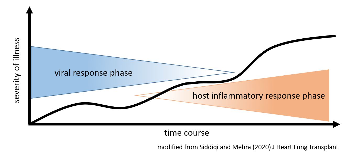 stages of COVID-19