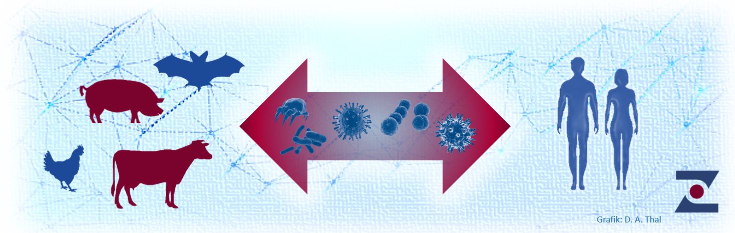 Zoonosen Schema
