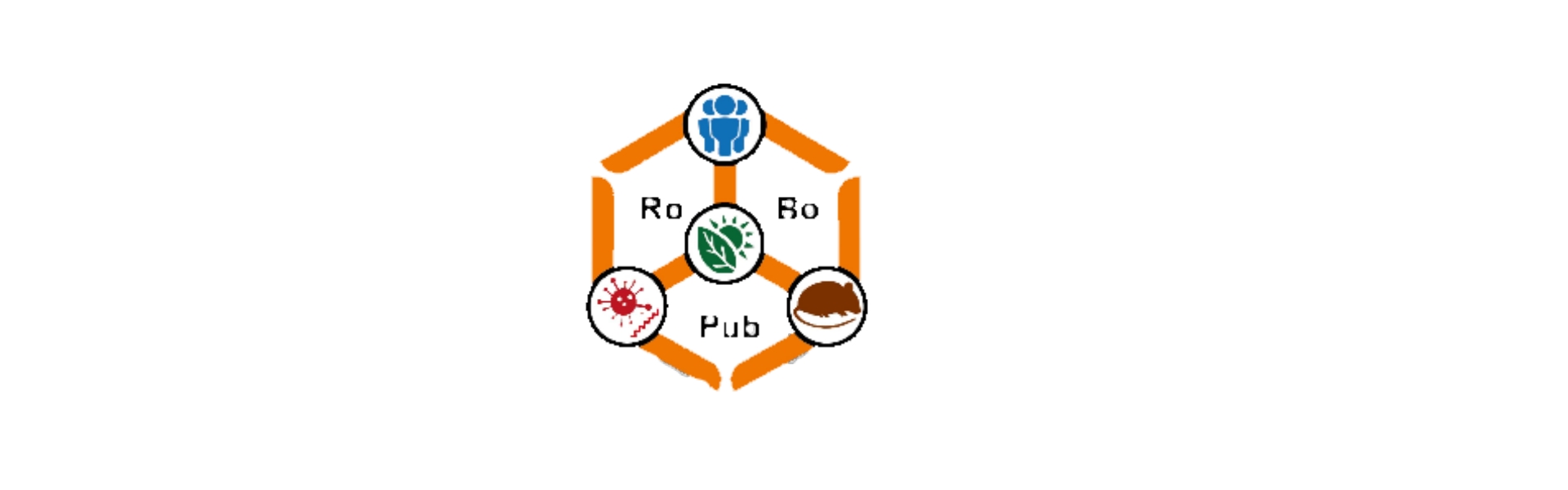 RoBoPub