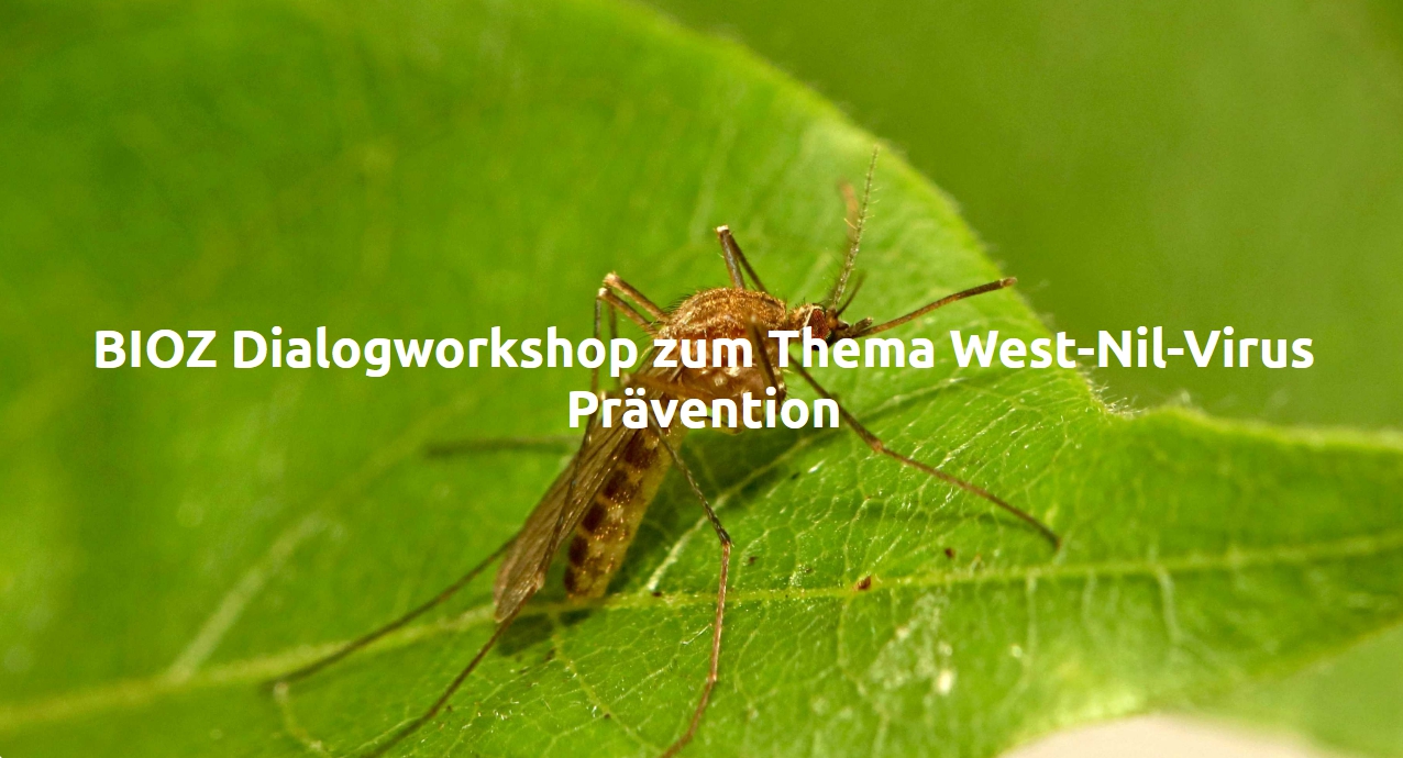 Dialogworkshop West-Nil-Virus